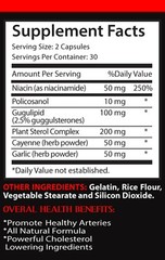 Blood pressure garlic- CHOLESTEROL RELIEF FORMULA- healthy cholesterol levels-1B