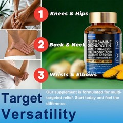 Glucosamine Chondroitin Collagen Hyaluronic Acid MSM Turmeric Joint Support 120c