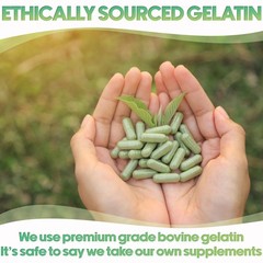 Gelatin Size 00 Separated Capsules – 100 Clear Count Gelatin Empty Capsules S…