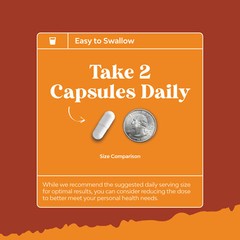 White Kidney Bean Energy Booster – White Kidney Bean Extract Pill