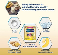 ENFAMAMA A+ 800g Vanilla Flavor For Maternal & Lactating Milk