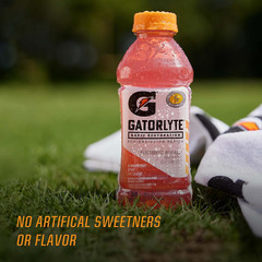 Gatorlyte Rapid Rehydration Electrolyte Drink, Watermelon, 20 Fl Oz Bottles (12