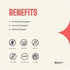 2 X Boldfit Iron Supplement for Women & Men with Vitamin c & Folic Acid 60 Tabs