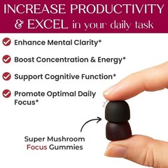 New Mushroom Focus Gummies Lion’s Mane Alpha GPC Rhodiola 60 Vegan Gummies