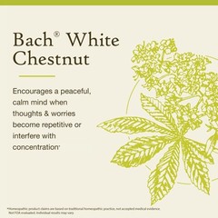 Bach Flower Remedy White Chestnut Calm Mind Natural Emotional Wellness 0.7 Fl Oz