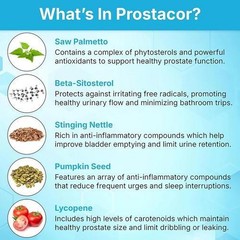 Prostacor Herbal Formula, Prostate Bladder & Urinary Support, 30 Veg Caps