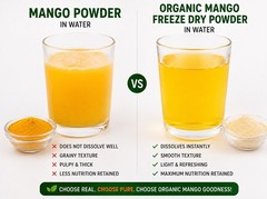 Organic Mango Powder Freeze Dried Pure Fruit Superfood Smoothie Vegan Non GMO