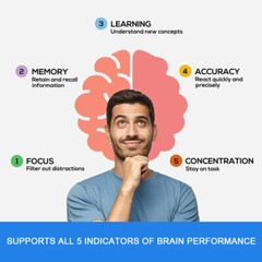 Bright Brain Absolute Focus Supplement – #1 Nootropic For Focus, Energy, Memory+