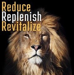 Resveratrol Maximum 500 MG Strength Natural (500 CAPSULES) AntiAging Antioxidant