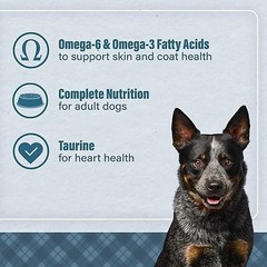 Nutrena Loyall Life Adult Lamb Meal & Brown Rice Recipe (40 Pounds),1 Count (Pac