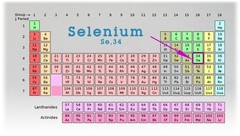 Selenium 32oz. – Liquid Mineral