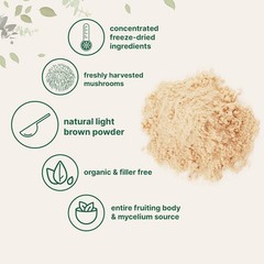 HOTMicro Ingredients Organic Lion’s Mane Mushroom Powder Pure Fruiting Superfood