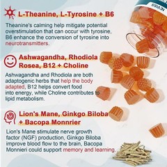 L-TYROSINE Focus Gummies L-Theanine Vitamin B12 B6 Mental 60ct 2 Pack NEVISS