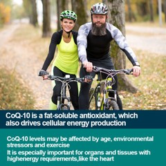 (2 Pack)CoQ-10 CoEnzyme Q-10 200mg Support Heart Health,High Potency 240 Capsule