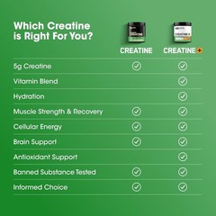 Micronized Creatine Monohydrate Powder – Supports Strength & Recovery, 120 Servi