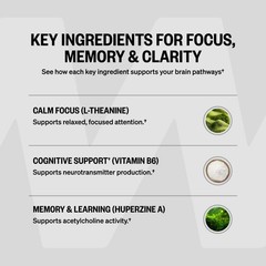 ONNIT Alpha Brain Nootropic Brain Supplement for Focus, Memory, Mental Clarit…