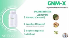 ACTIVZ GNM-X – Nrf2 Activator for Genetic Cellular Defense and Well-Being 3Pack
