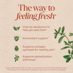 Nature’s Way Chlorofresh, Liquid Chlorophyll, Healthy Skin & Body Detox 16 Fl Oz