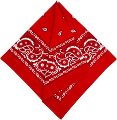 Extra Large Bandana 27” x 27” 100% Cotton for Men & Women Paisley Handkerchief H