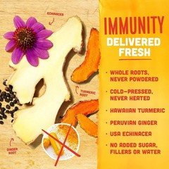 Vive Organic Immune Support Shot, Cold-Pressed Ginger, Turmeric (Pack of 12)