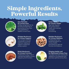 ProstaPlex – Proprietary Prostate Support Prosta Plex – 2 Botles
