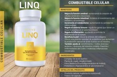 ACTIVZ LINQ 60 Capsules Strengthens The Gut/brain Connection