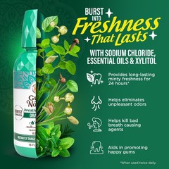 GuruNanda Fresh Breath Mouthwash, ADA-Accepted, 16 Fl Oz (Pack of 1), Clear