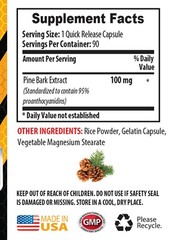 immune support vitamins – PINE BARK EXTRACT – brain enhancement 2 BOTTLE