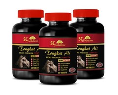 Testosterone men – TONGKAT PREMIUM 760MG – tongkat real indonesia – 3B