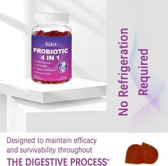 Probiotic Kombucha Gummies | Sugar Free | Probiotics Fiber Supplement for Unisex