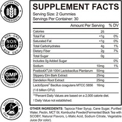 Probiotic Kombucha Gummies | Sugar Free | Probiotics Fiber Supplement for Unisex