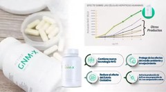 ACTIVZ LINQ 60 Capsules Strengthens The Gut/brain Connection Free Shipping
