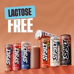 Spylt High Protein Milk – 6 Flavor Variety Pack with 132 Fl Oz (Pack of 1)