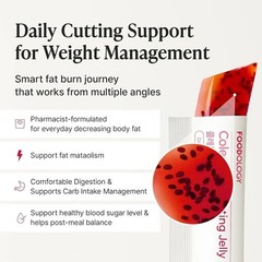 3 Pack FOODOLOGY Coleology Cutting 25g 10 Sticks Weight Loss Supplements
