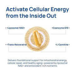 Selerb Men Liposomal NAD+ Supplement, CoQ10 Maca Ashwagandha for Energy Circulat