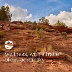 Trace Minerals NO! Muscle Cramps – Supplement for Healthy Muscle Function – L…