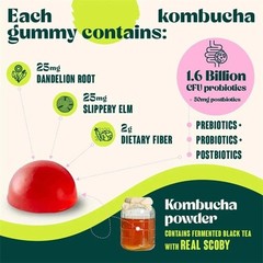 3X Probiotic Kombucha Gummy – Prebiotics,Probiotics,Postbiotics,Fiber Supplement