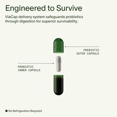 Seed DS-01 Daily Synbiotic for Digestive Health (60ct)