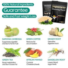 Japanese Shaping Slimming Patch Belly Abdomen Weight Loss Women Burning Fat USA