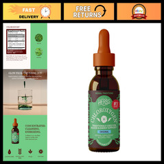Chlorophyll Concentrate Liquid Drops – Alcohol Free, Detox, Skin & Gut Support –