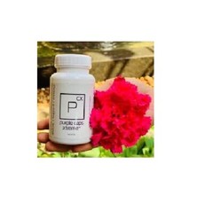 Bhip Global Purple Caps Antioxidants Supports Enhance Restore The Immune System