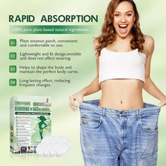 10-in-1 Moringa Berberine Weight Loss Patch Nano Microneedle Slimming 7pcs