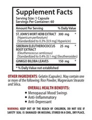 Ginkgo Biloba Seeds – ST. JOHN’S WORT EXTRACT – Pain Relief 3 Bottles