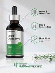 Horbäach Liquid Chlorophyll Drops 2 Oz Vegan, Non-GMO, And Gluten Free Formula