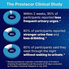 Prostacor Herbal Formula, Prostate Bladder & Urinary Support, 30 Veg Caps