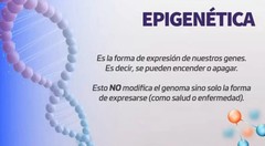 NEW ACTIVZ EPIGENETIC TRIFECTA 3 bottles set 1 LINQ + 1 GNMX + 1 OPTIMEND