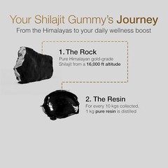 Shilajit Gold Gummies – with Ashwagandha – Enhances Energy & Endurance, Immunity