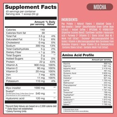 Fitmingo Vegan Protein Powder with Inositol, 3 Blends, Mocha, 45 Servings, 3.3Lb
