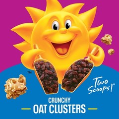Kellogg’s Raisin Bran Crunch Breakfast Cereal, Good 24.5 Ounce (Pack of 1)
