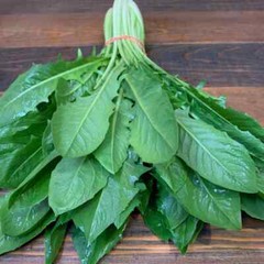 Fluid Control – WATER AWAY COMPLEX – Smooth Release 3 Bottles 180 Capsules